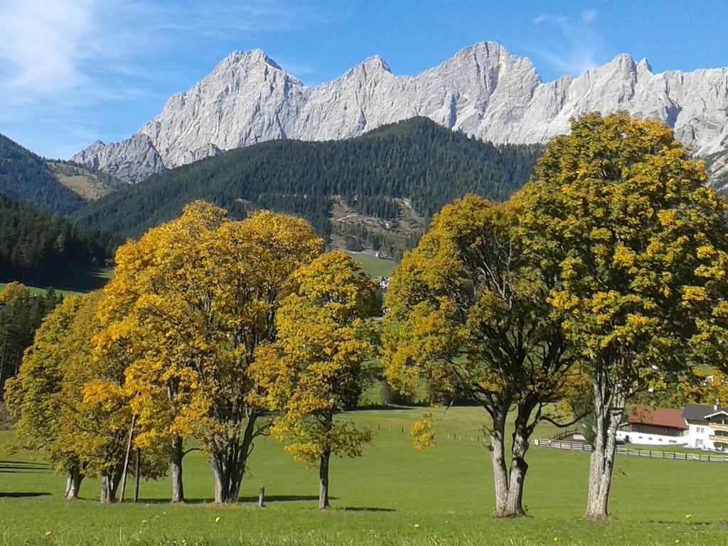 Apartment Oesterreich Ramsau am Dachstein Room photo